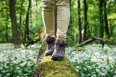 Deal News Mammut Wanderschuhe: Frau balanciert Baumstamm im Wald
