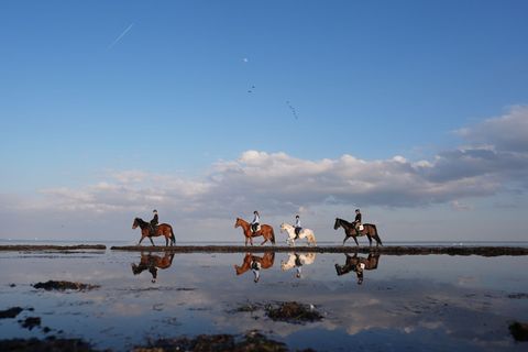 Wetterextreme beeinflussen die Meere. (Archivbild) Foto: Marcus Brandt/dpa