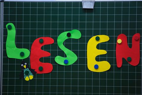 Täglich wird in den MV-Grundschulen 20 Minuten extra gelesen. (Symbolbild) Foto: Jens Büttner/dpa-Zentralbild/dpa