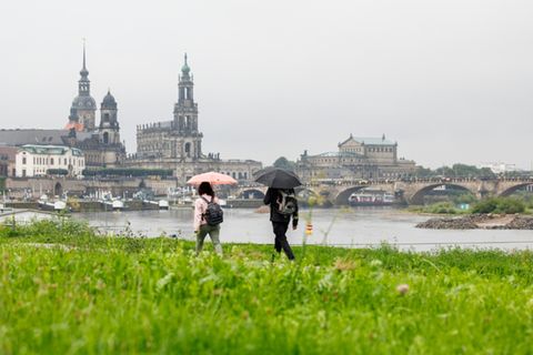 Elbufer mit Blick auf Altstadt in Dresden