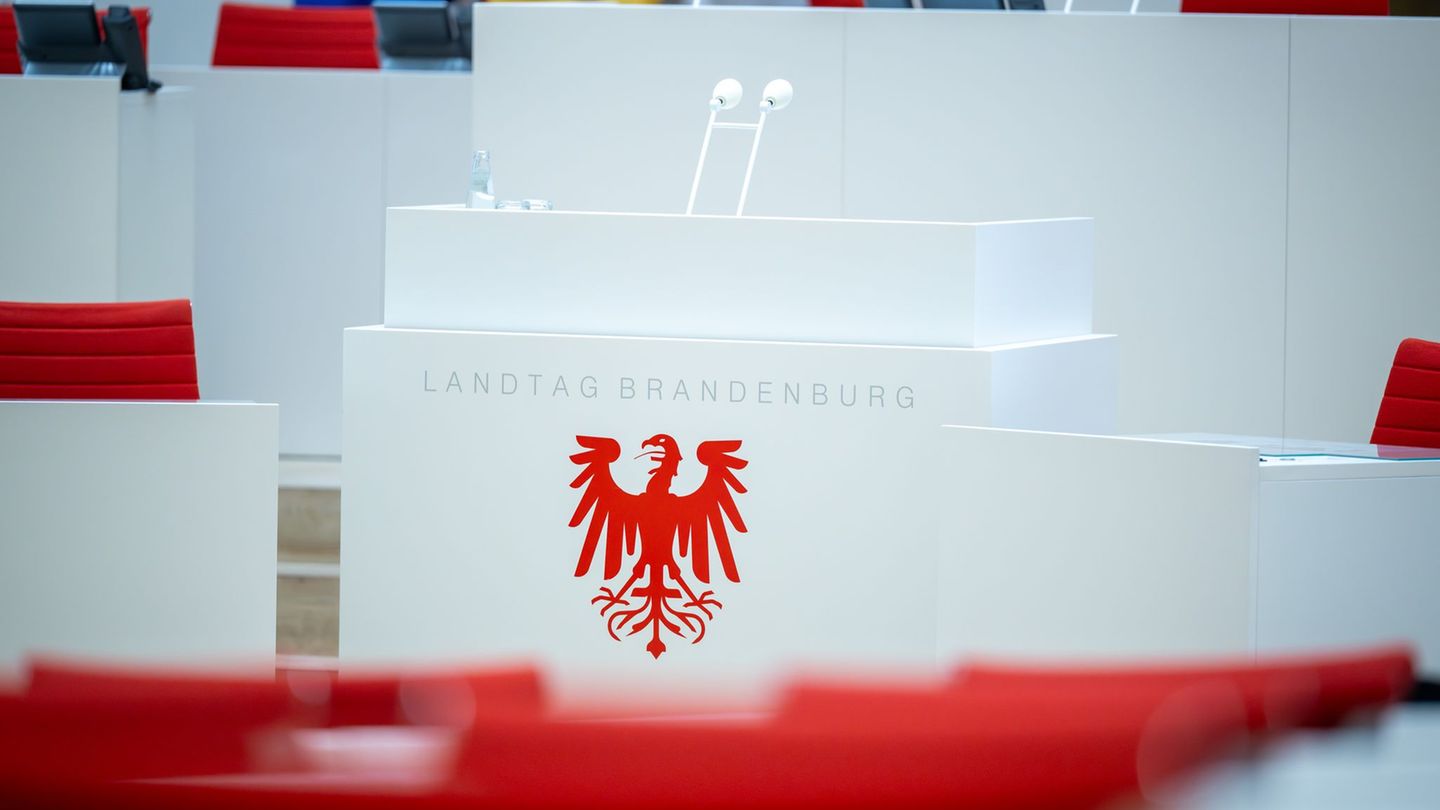 Im Brandenburger Landtag sind mehrere Kinder für ihr soziales Engagement ausgezeichnet worden. (Archivbild) Foto: Soeren Stache/