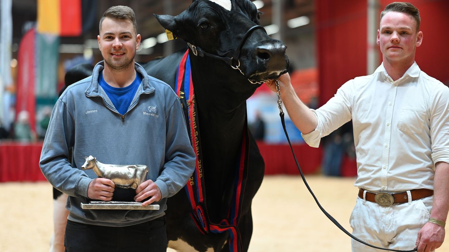 Züchter Jannes Rohdemann (l.) hat nun mit Kuh Alge eine Miss Ostfriesland im Stall stehen. Foto: Lars Penning/dpa