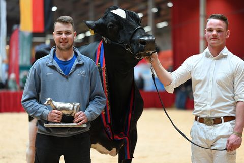 Züchter Jannes Rohdemann (l.) hat nun mit Kuh Alge eine Miss Ostfriesland im Stall stehen. Foto: Lars Penning/dpa
