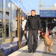 Ein Hundeführer kontrolliert mit seinem Diensthund den Bereich eines Bahnsteigs in Magdeburg. (Archivbild) Foto: Peter Gercke/dp