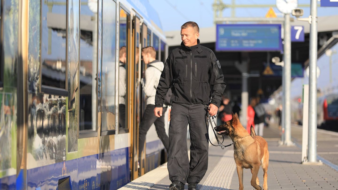 Ein Hundeführer kontrolliert mit seinem Diensthund den Bereich eines Bahnsteigs in Magdeburg. (Archivbild) Foto: Peter Gercke/dp