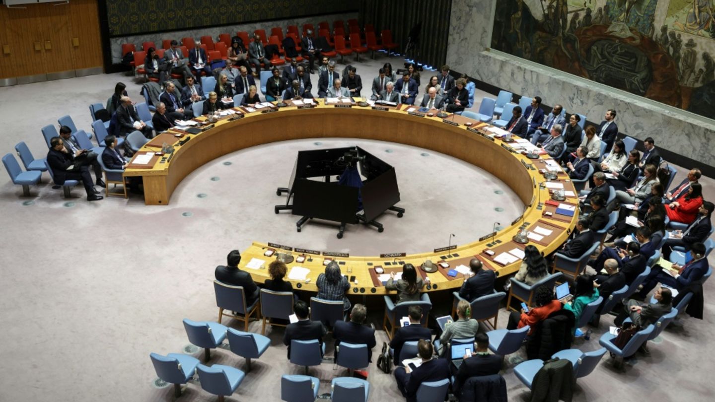Sitzung des UN-Sicherheitsrats am 15. Januar