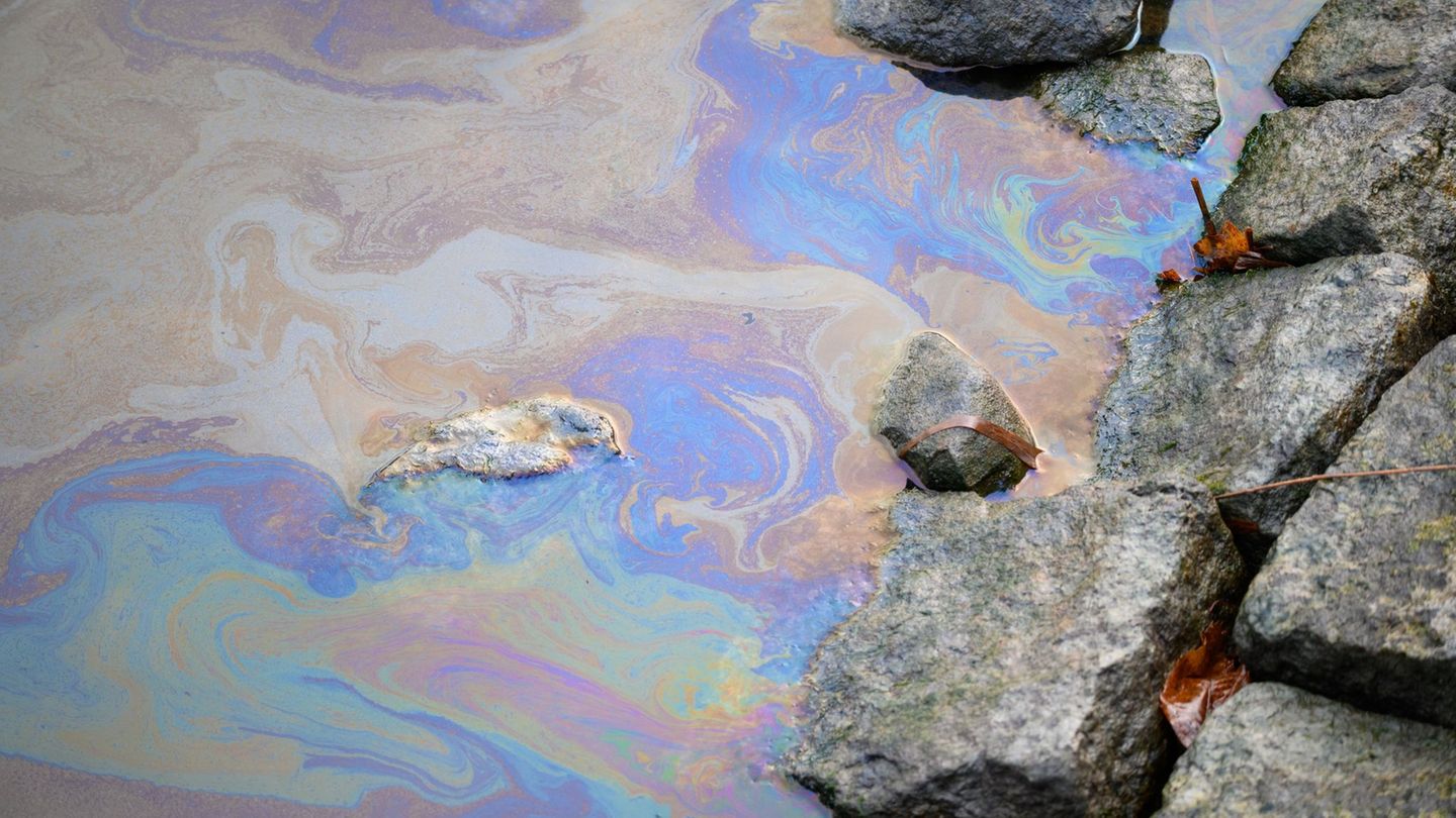 Ob ein Schaden für die Umwelt entstanden ist, weiß man noch nicht. (Symbolbild) Foto: Jonas Walzberg/dpa