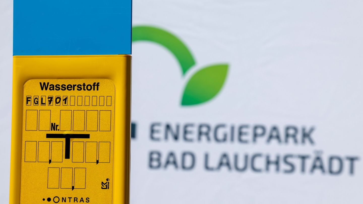 Die Leitung soll künftig grünen Wasserstoff zur Raffinerie transportieren. (Archivbild) Foto: Jan Woitas/dpa