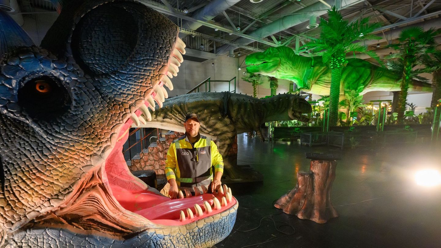 Messehalle Hannover: Dinos erobern Hannover – acht Meter hoher T-Rex dabei