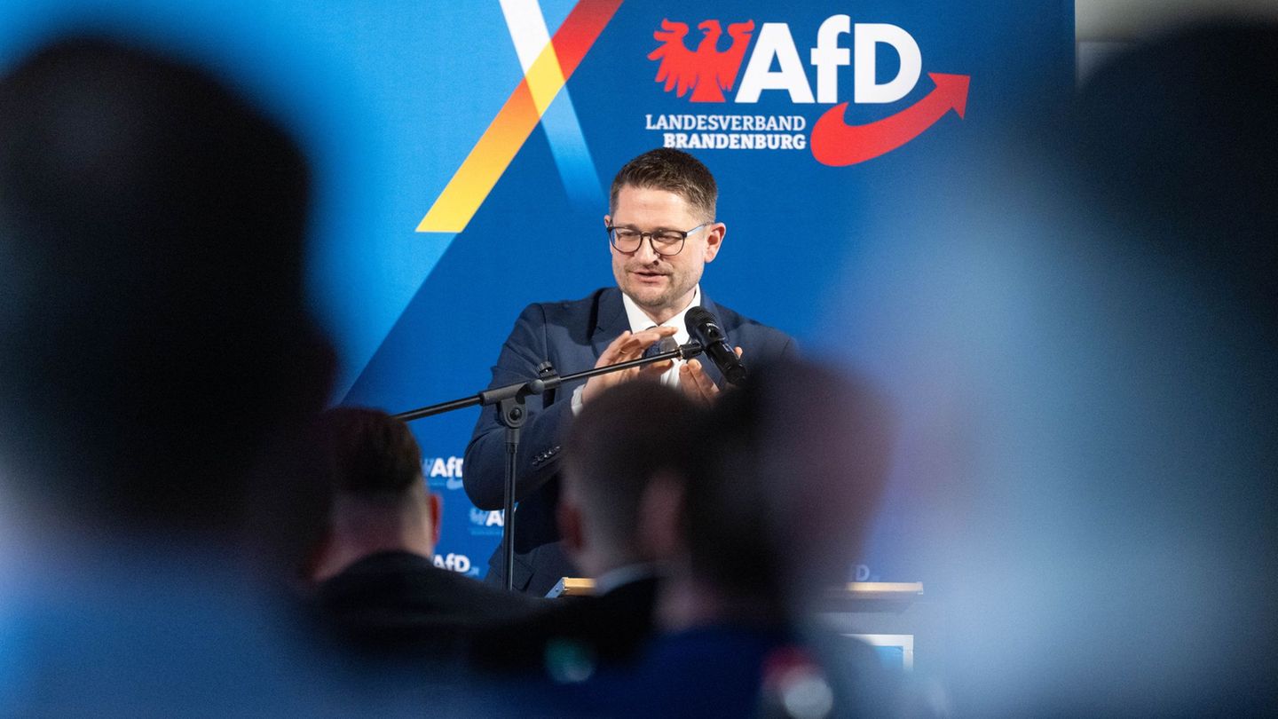 Vorstandswahl: AfD Brandenburg wählt Landesspitze: Springer tritt wieder an