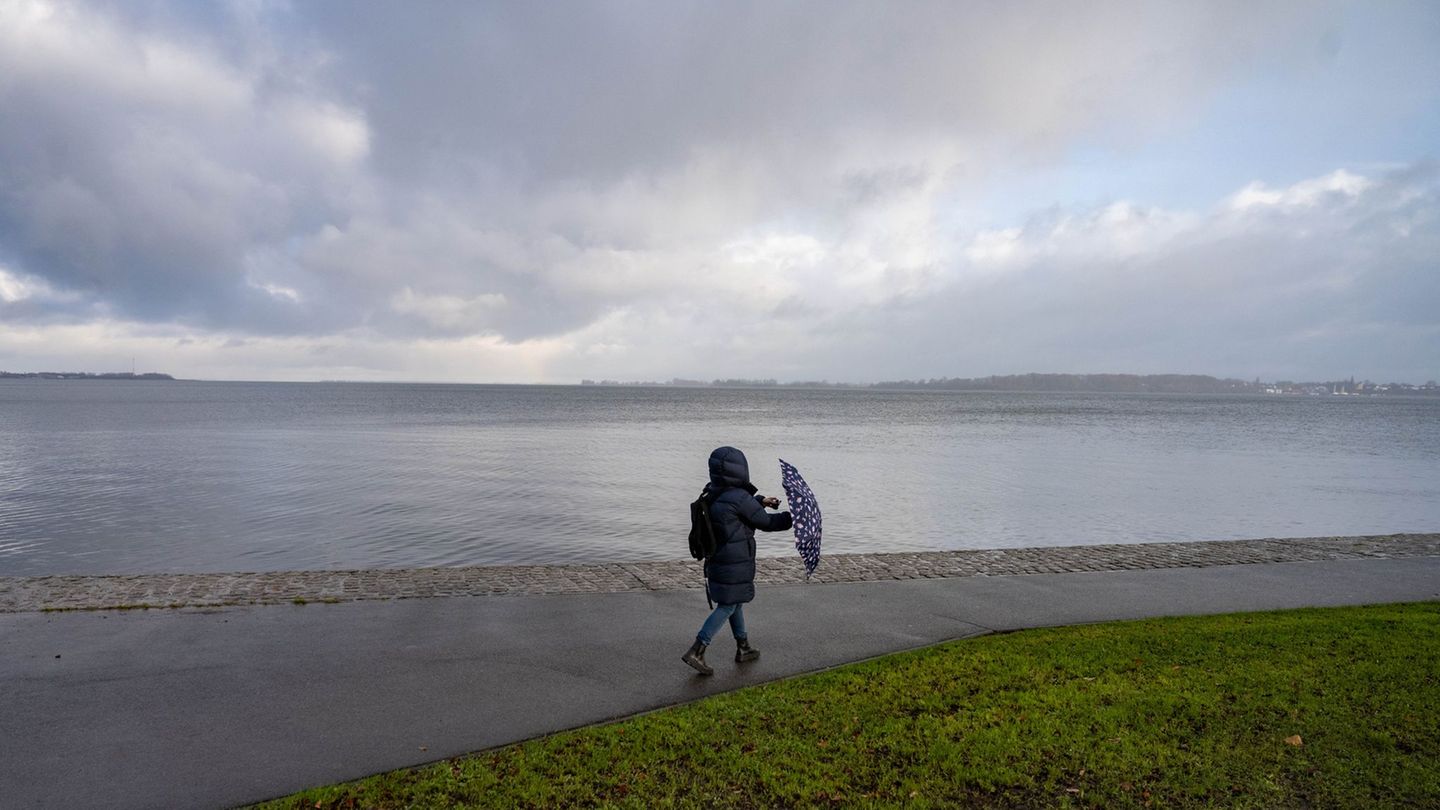 Wetter: Stürmische Böen und milde Temperaturen im Norden erwartet