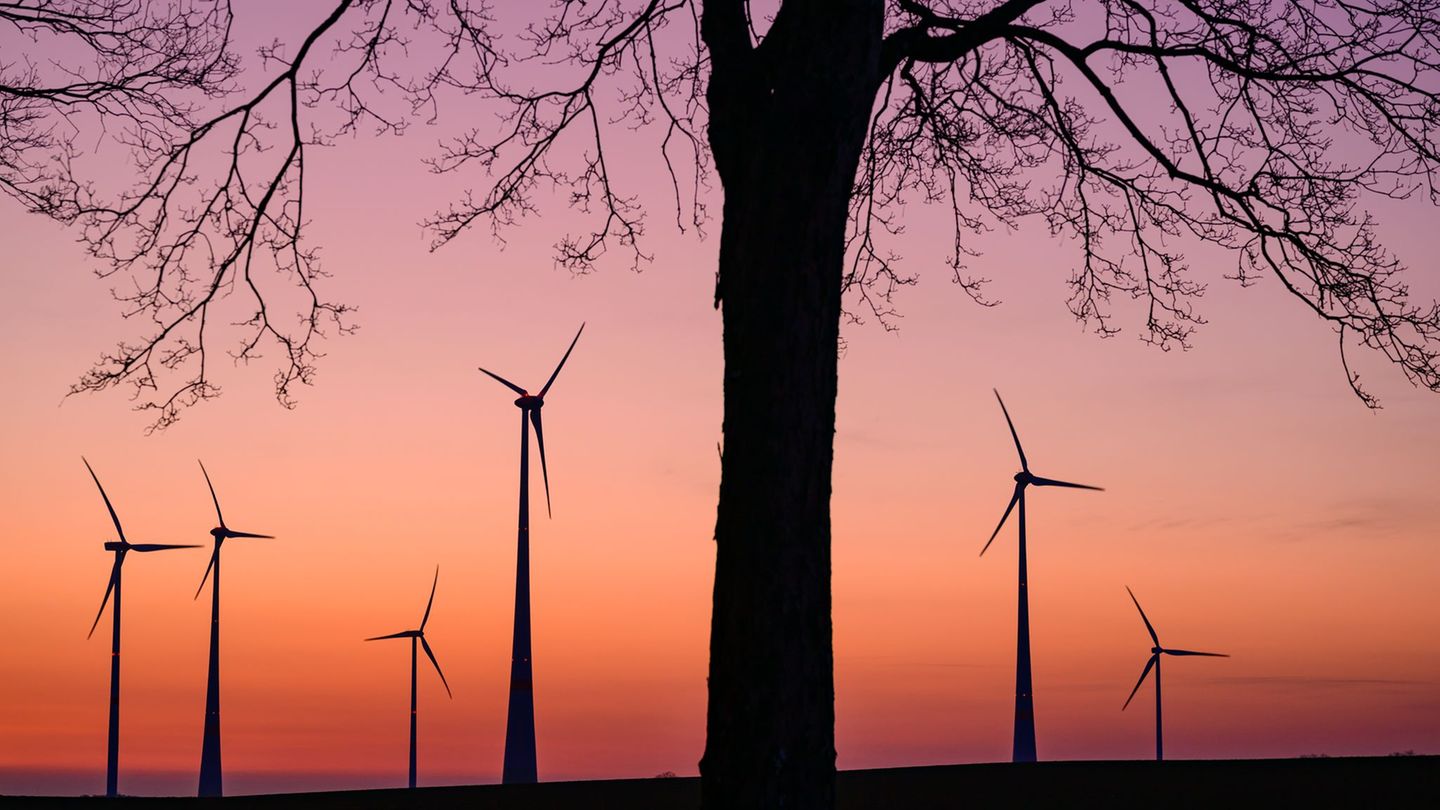 Wetter: Wetter in Berlin und Brandenburg weiter mild - teils Regen