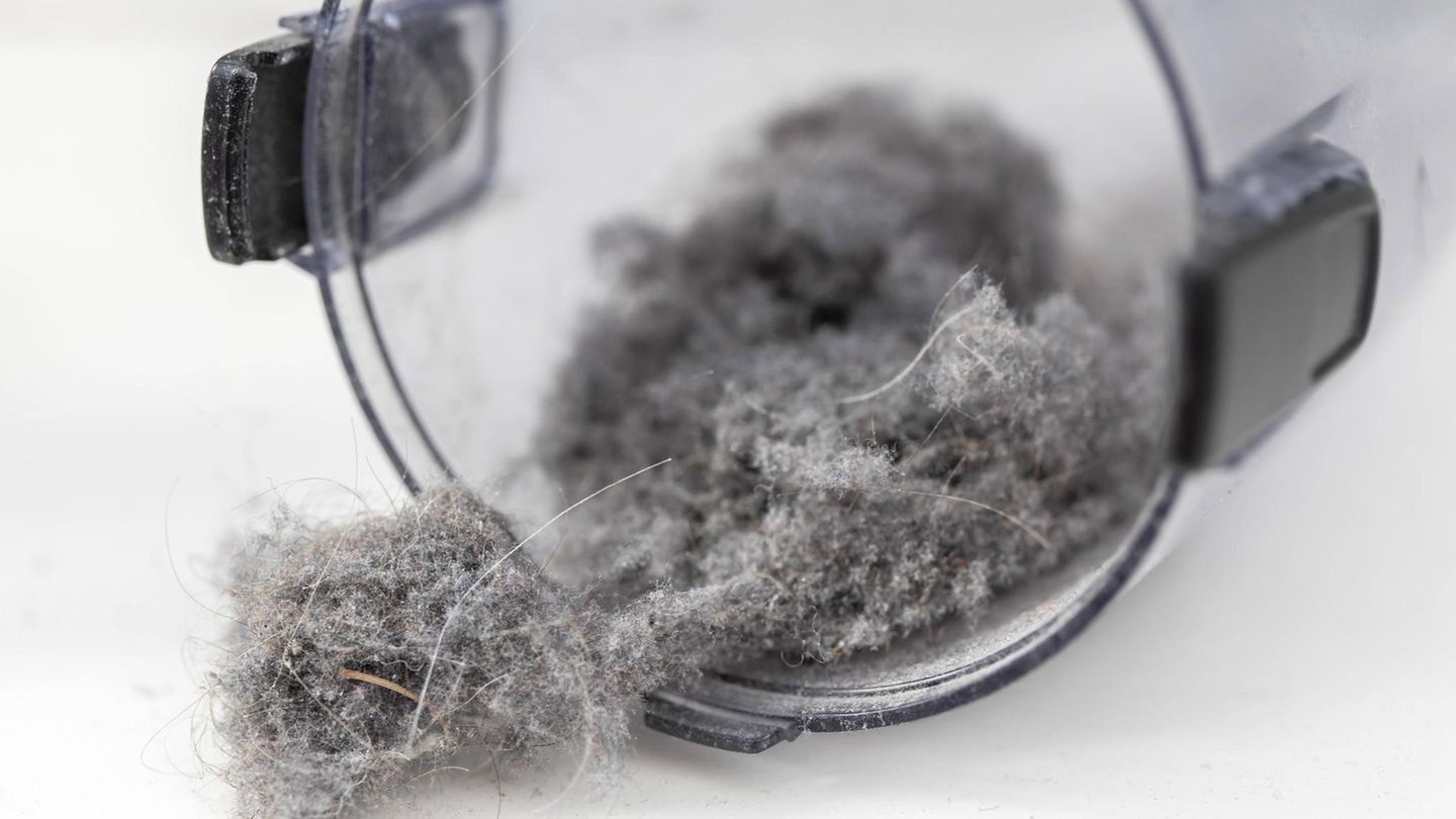 Staub: Staubsammelbehälter geöffnet