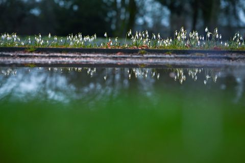 Pfützen auf Wegen und Äckern können trügerisch sein: Vielerorts fehlt den Böden Feuchtigkeit. (Archivbild) Foto: Lars Penning/dp