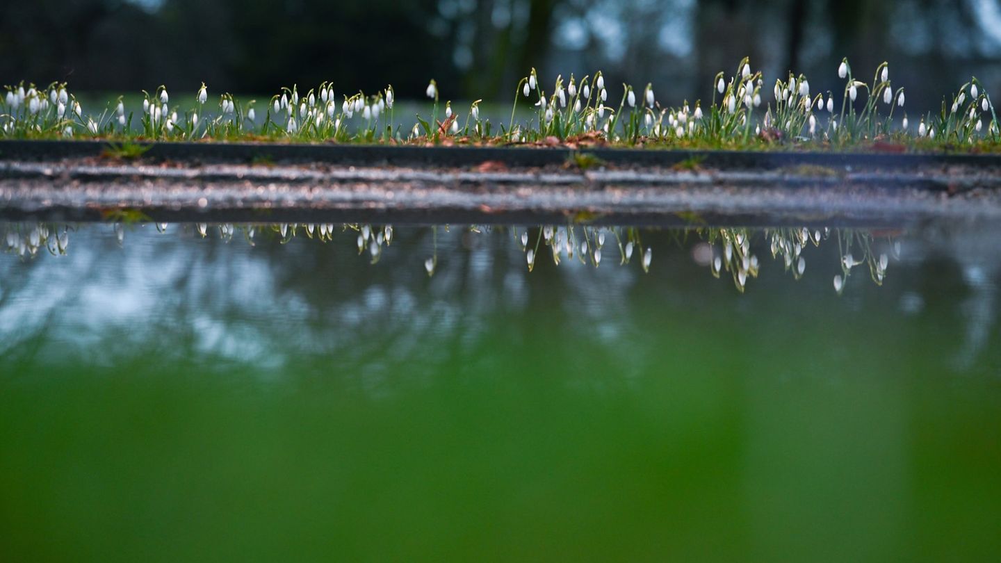 Pfützen auf Wegen und Äckern können trügerisch sein: Vielerorts fehlt den Böden Feuchtigkeit. (Archivbild) Foto: Lars Penning/dp