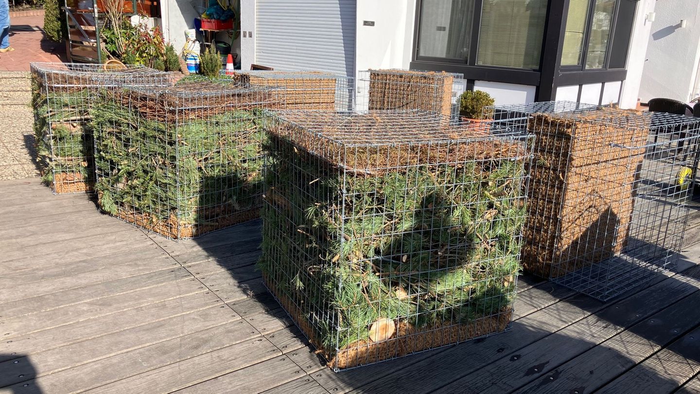 Umweltschutz: Mehr Natur an der Alster – Studie zeigt Wege für Umbau