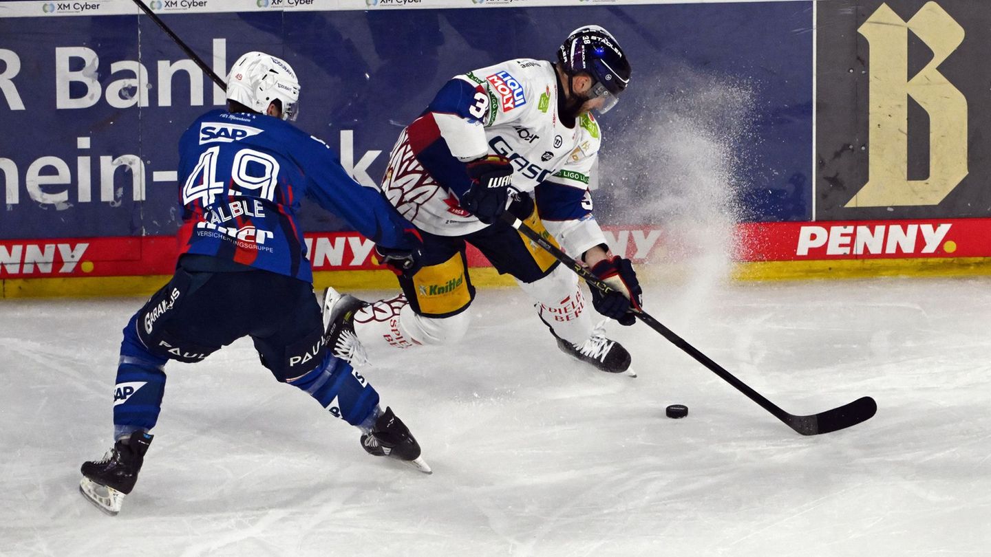 Deutsche Eishockey Liga: Eisbären-Coach Aubin: "Wir konzentrieren uns nur auf uns"