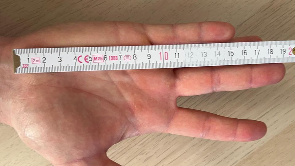Knapp 19 Zentimeter misst die Testhand.