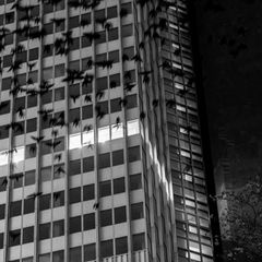 Frankfurter Bankentürme in der Abendstimmung