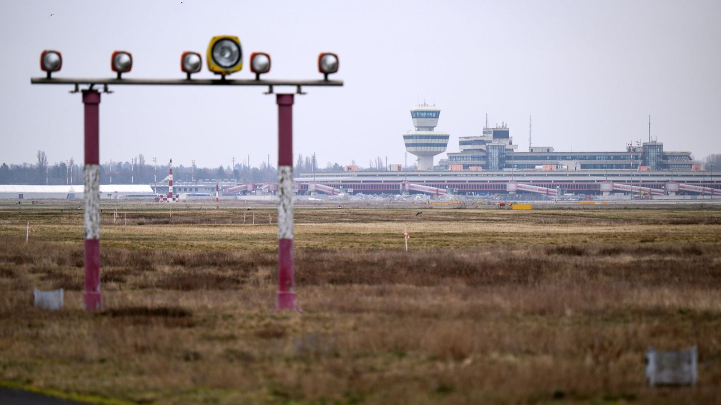 Artenschutz: Feldlerchen bremsen Baupläne auf ehemaligem Flughafen Tegel