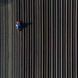 Hohenseeden, Deutschland. Naja, noch ist es nicht so weit. Aber immerhin zieht hier schon jemand in Sachsen-Anhalt mit einer Dammfräse neue Spargeldämme auf ein Feld. Obwohl es wärmer geworden ist, müssen die Spargelfreunde sich noch etwas gedulden bis zur Saison.