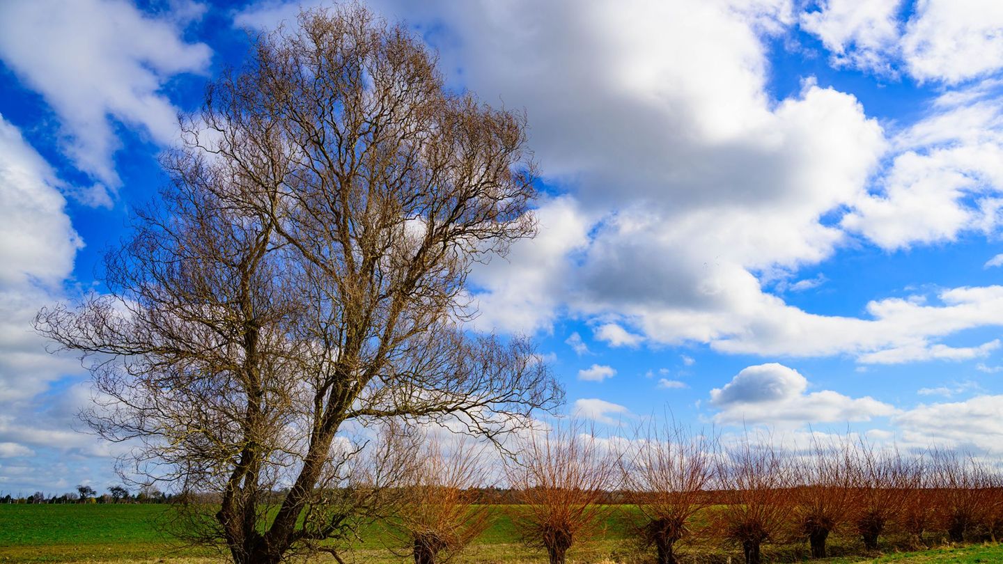 Wetter: Wochenendstart: Bedeckter Himmel über Berlin und Brandenburg