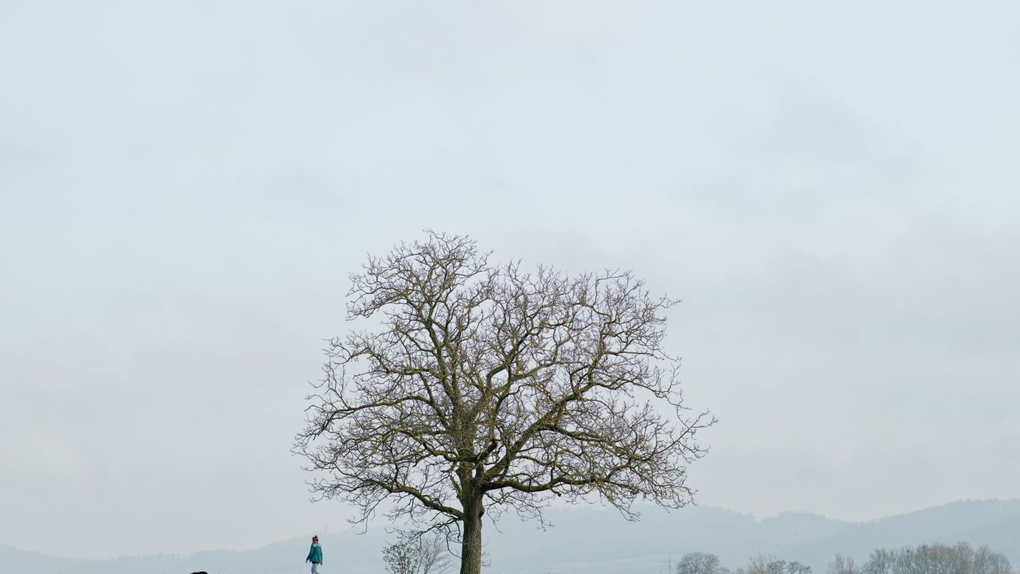 Wetter-Vorhersage: Wenig Schnee, viel Regen: Kaum Chancen für Wintersport