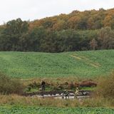 Fabian Tümpel Klein Upahl