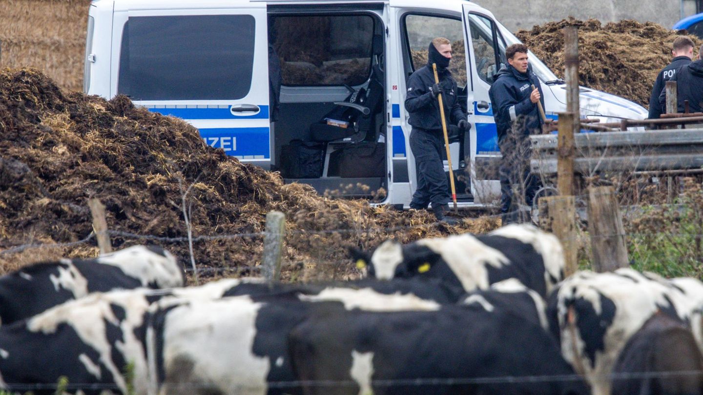 20. Oktober 2025: Die Polizei durchsucht einen Bauernhof in Reimershagen, etwa 14 Kilometer südlich von Güstrow, nach Hinweisen im Zusammenhang mit dem Tod von Fabian. Was genau die Ermittler suchen, sagen sie nicht.