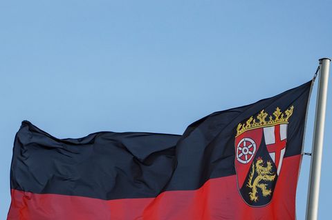 In Rheinland-Pfalz wird am 22. März gewählt. (Archivbild) Foto: Andreas Arnold/dpa