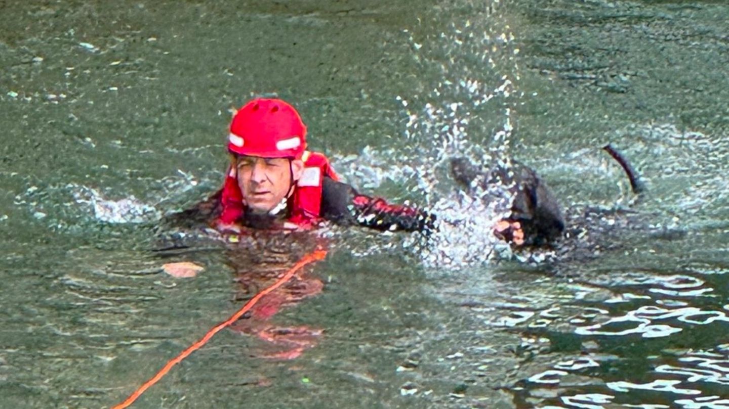 Ein speziell ausgebildeter Strömungsretter holte den verunglückten Vierbeiner aus dem Fluss. Foto: -/Berufsfeuerwehr München/dpa