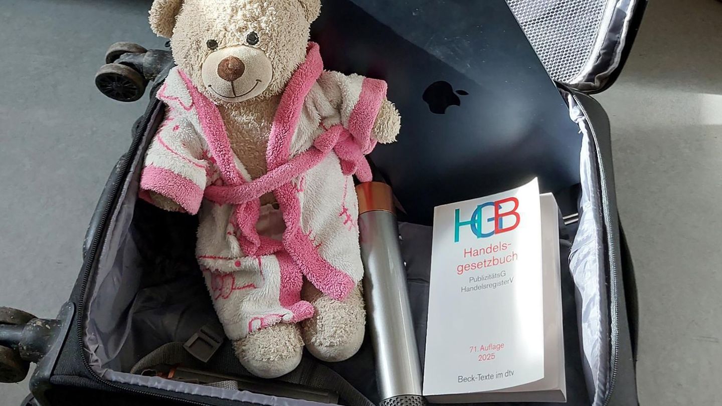 Eine junge Frau hat ihren gestohlenen Koffer mit Wertsachen zurückbekommen - darin war ein "unbezahlbarer" Teddybär. Foto: -/Bun