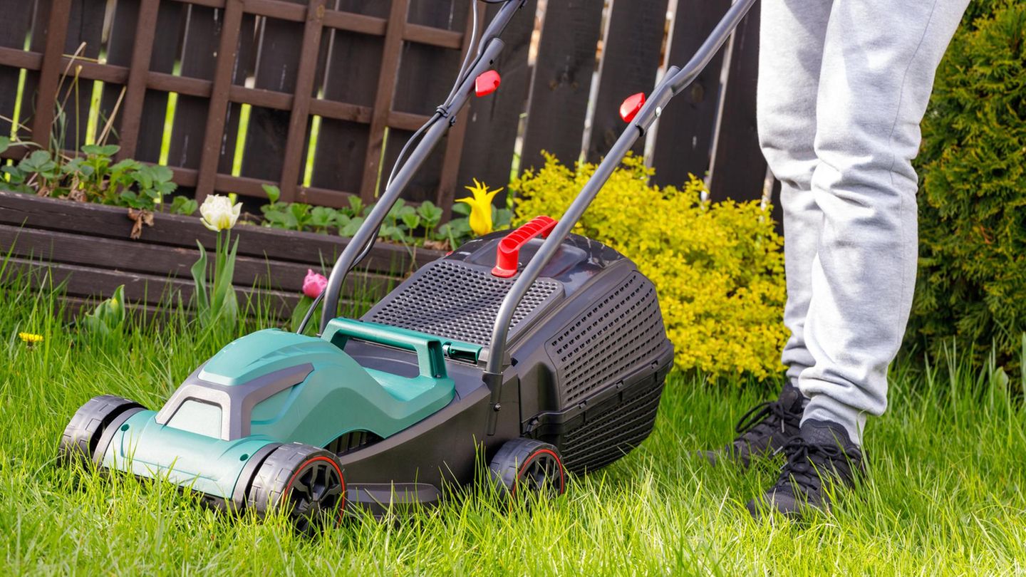 Gartenarbeit: Rasen mähen: Sieben Dinge, die im Frühling besonders wichtig sind