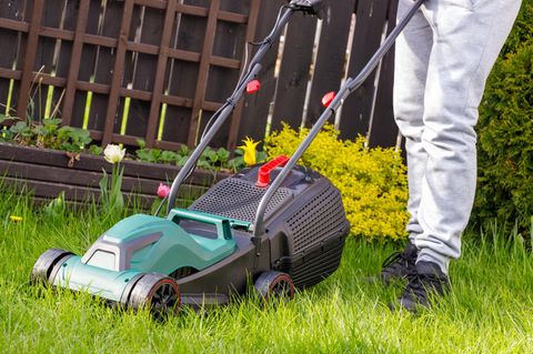Rasenmähen im Frühling und Sommer