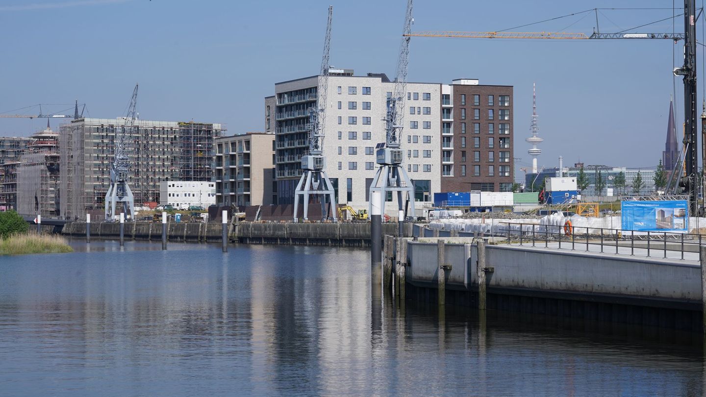 Die Informations- und Koordinierungsstelle Transformation Fischerei ist in der Hamburger Hafencity angesiedelt. (Archivbild) Fot