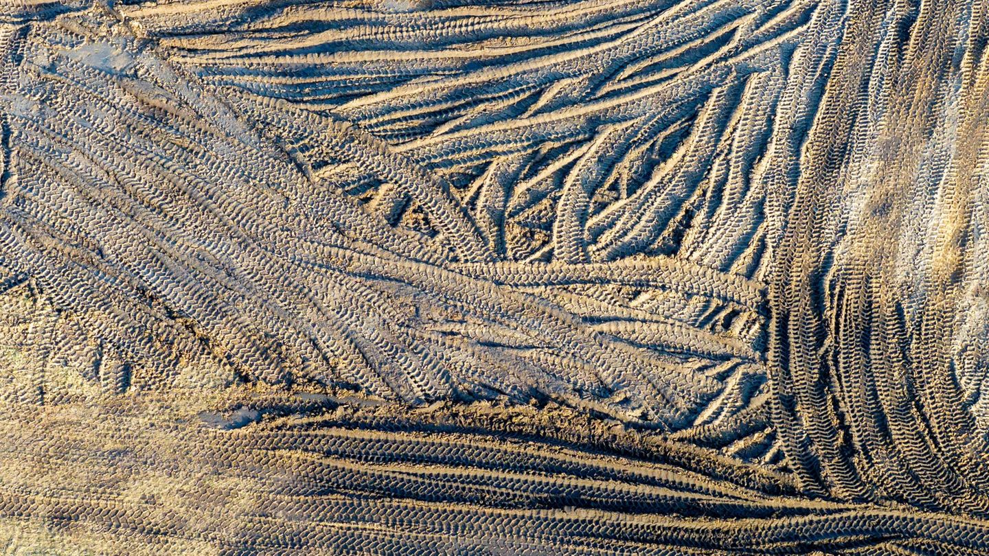 Für den Burgenlandkreis hat der Bau des neuen Industriegebiets eine große Bedeutung. (Symbolbild) Foto: Jens Büttner/dpa