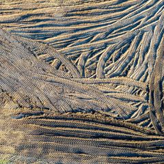 Für den Burgenlandkreis hat der Bau des neuen Industriegebiets eine große Bedeutung. (Symbolbild) Foto: Jens Büttner/dpa