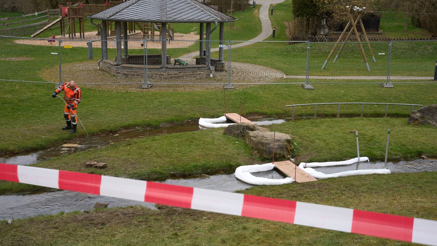 Umwelt: Leck an Pipeline: Diesel-Klau lässt Biber leiden