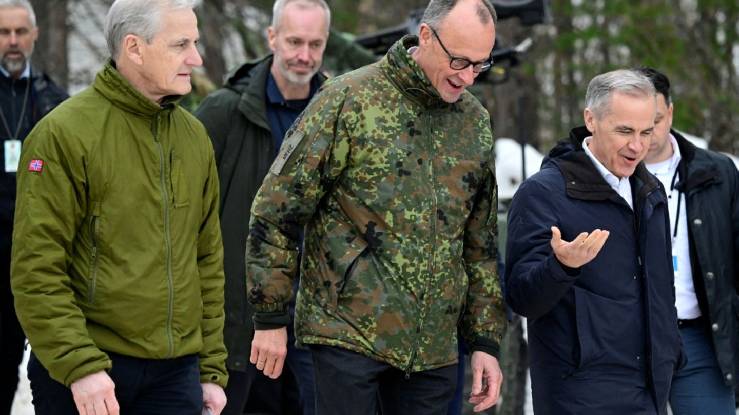 Kanzler Merz bei "Cold Response": Bereit zur Verteidigung des hohen Nordens