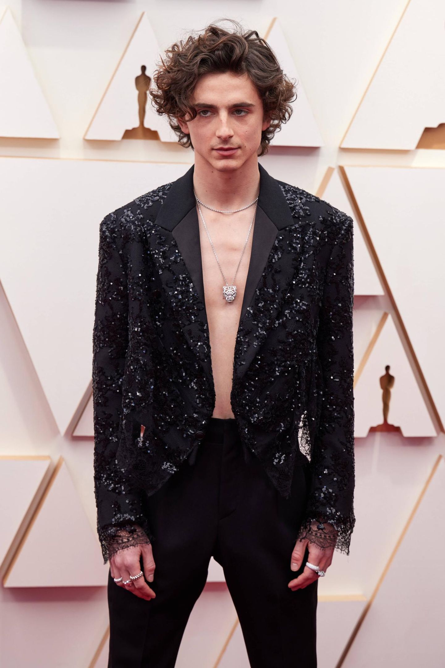 Oscars Timothée Chalamet