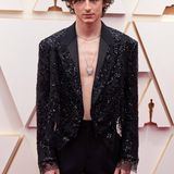Oscars Timothée Chalamet