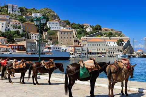 Auf Hydra setzt man teils auf Esel, Maultiere und Boote statt auf Autos.
