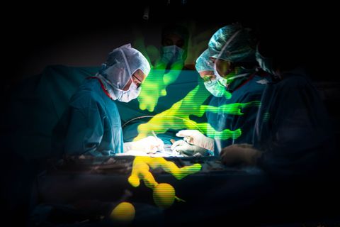 Mit Holomedizin können Eingriffe präziser geplant und durchgeführt werden. Foto: Sina Schuldt/dpa