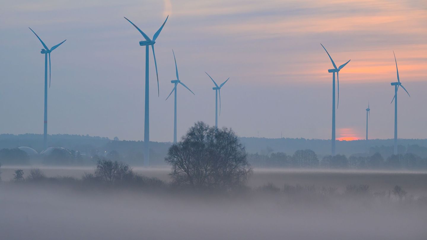 Wolken und zeitweise Regen bestimmen das Wochenende in Berlin und Brandenburg. (Archivbild) Foto: Patrick Pleul/dpa