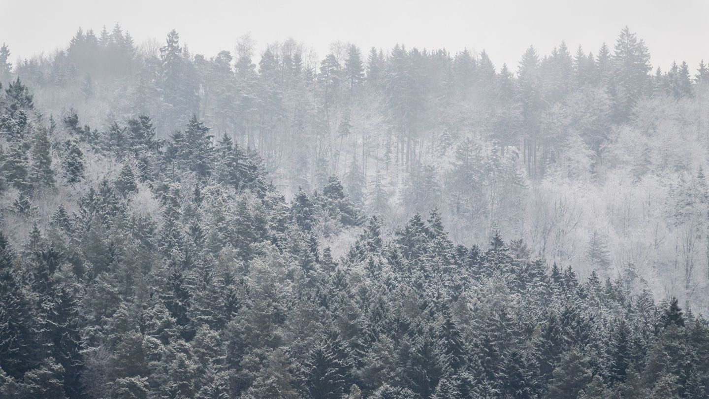 Nach den sonnigen Tagen stellt sich wieder Winterwetter ein. (Archivbild) Foto: Silas Stein/dpa