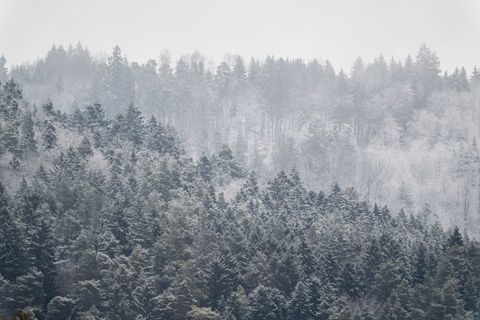 Nach den sonnigen Tagen stellt sich wieder Winterwetter ein. (Archivbild) Foto: Silas Stein/dpa