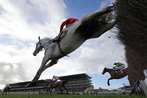 Rennpferde (Symbolbild)