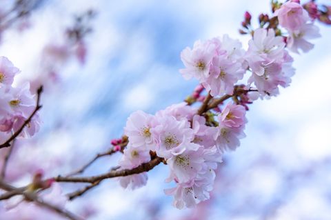 NRW darf sich auf einen heiteren Sonntag freuen. Foto: Thomas Banneyer/dpa