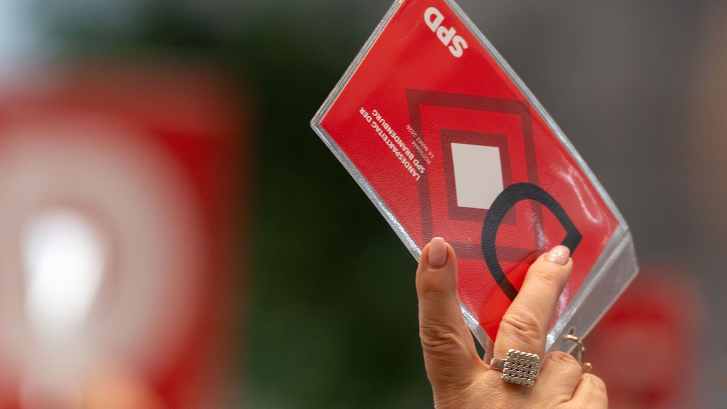 SPD/CDU-Koalition in Brandenburg steht