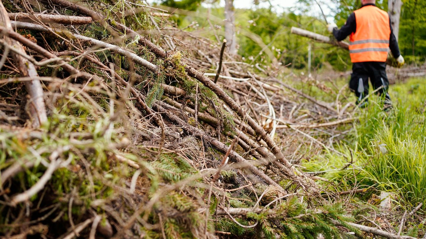 Justiz: 353 Verurteilte vermeiden Haft durch gemeinnützige Arbeit